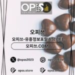 Profile picture of 동탄스웨디시 출장마사지안내.COM 동탄 스웨디시