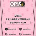Profile picture of 연신내마사지 오피.CLUB 연신내 마사지