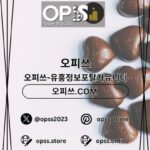 Profile picture of 일산안마 출장안마사이트.COM 일산 안마