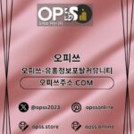 Profile picture of 안산오피 출장마사지안내.COM 안산OP