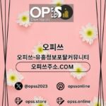 Profile picture of 부산오피 오피.CLUB 부산OP