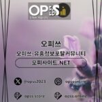 Profile picture of 성남오피 오피사이트.NET 성남OP