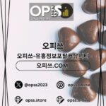 Profile picture of 광명오피 출장안마사이트.COM 광명OP