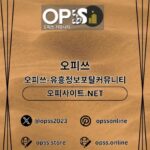 Profile picture of 군산오피 출장마사지안내.COM 군산OP