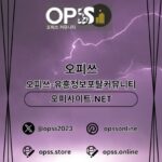 Profile picture of 강남오피 오피쓰주소.COM 강남OP