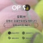 Profile picture of 서초건마 오피사이트.NET 서초마사지